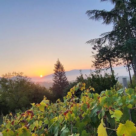 "Il Casaletto" Agriturismo Moderno, Vista Panoramica E Cibo Spettacolare- Scurcola Marsicana Dış mekan fotoğraf