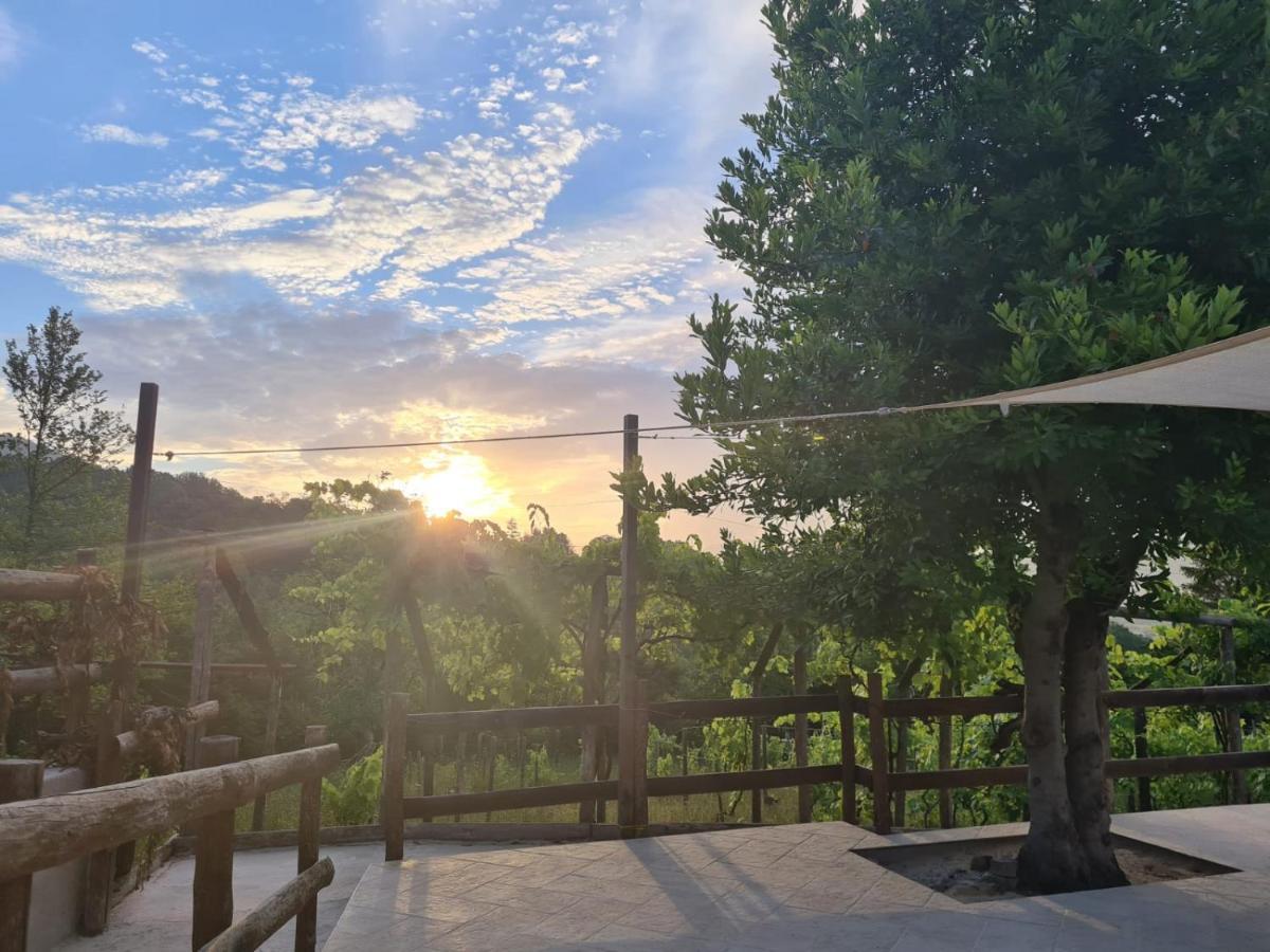 "Il Casaletto" Agriturismo Moderno, Vista Panoramica E Cibo Spettacolare- Scurcola Marsicana Dış mekan fotoğraf