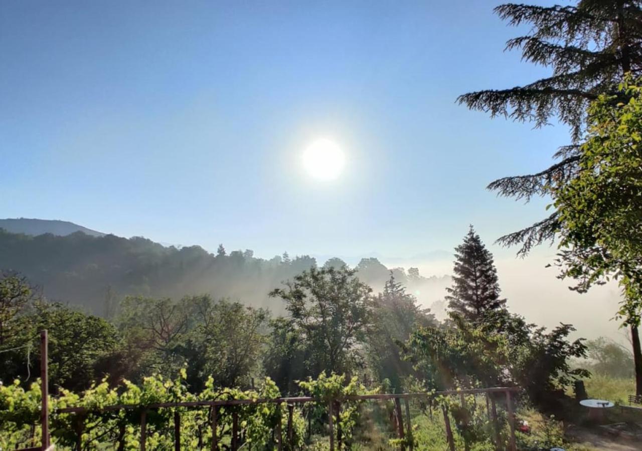 "Il Casaletto" Agriturismo Moderno, Vista Panoramica E Cibo Spettacolare- Scurcola Marsicana Dış mekan fotoğraf