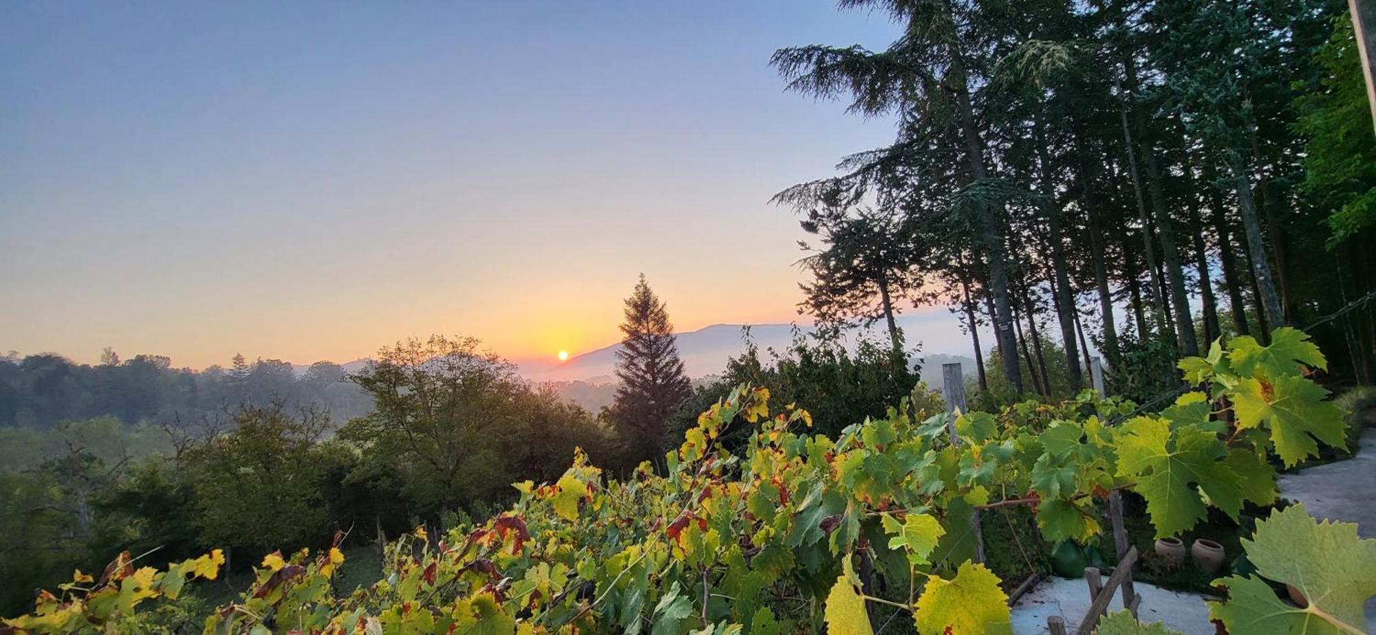 "Il Casaletto" Agriturismo Moderno, Vista Panoramica E Cibo Spettacolare- Scurcola Marsicana Dış mekan fotoğraf