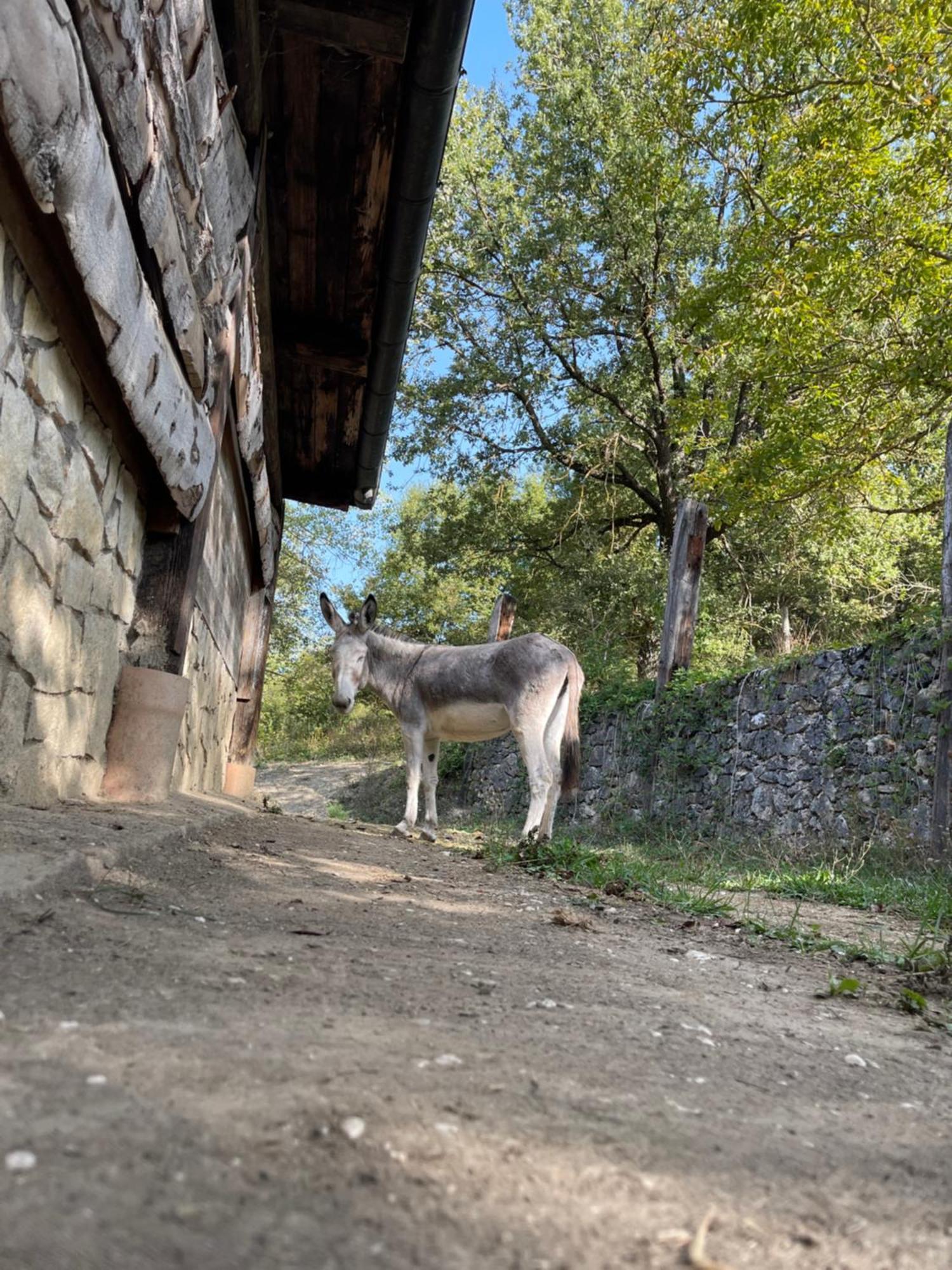 "Il Casaletto" Agriturismo Moderno, Vista Panoramica E Cibo Spettacolare- Scurcola Marsicana Dış mekan fotoğraf