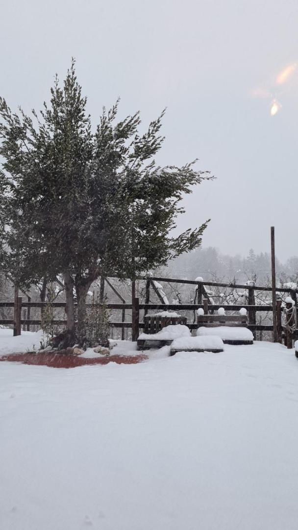 "Il Casaletto" Agriturismo Moderno, Vista Panoramica E Cibo Spettacolare- Scurcola Marsicana Dış mekan fotoğraf